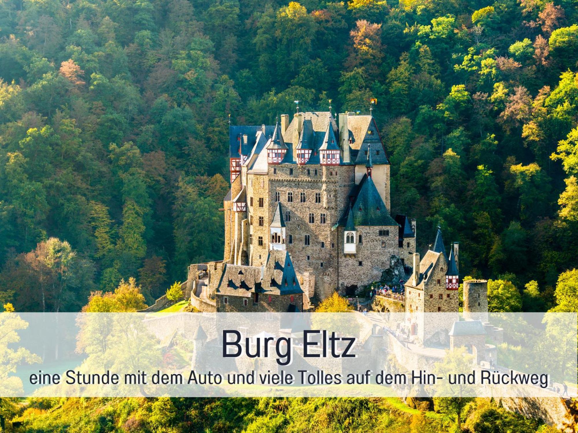 Ferienhaus Schwaab-Scherr, Genau Zwischen Bernkastel-Kues Und Traben-Trarbach, Mit Kostenlosem Oepnv-Ticket Fuer Bus Und Bahn, Parkplaetzen Und Fahrradgarage Erden Eksteriør billede