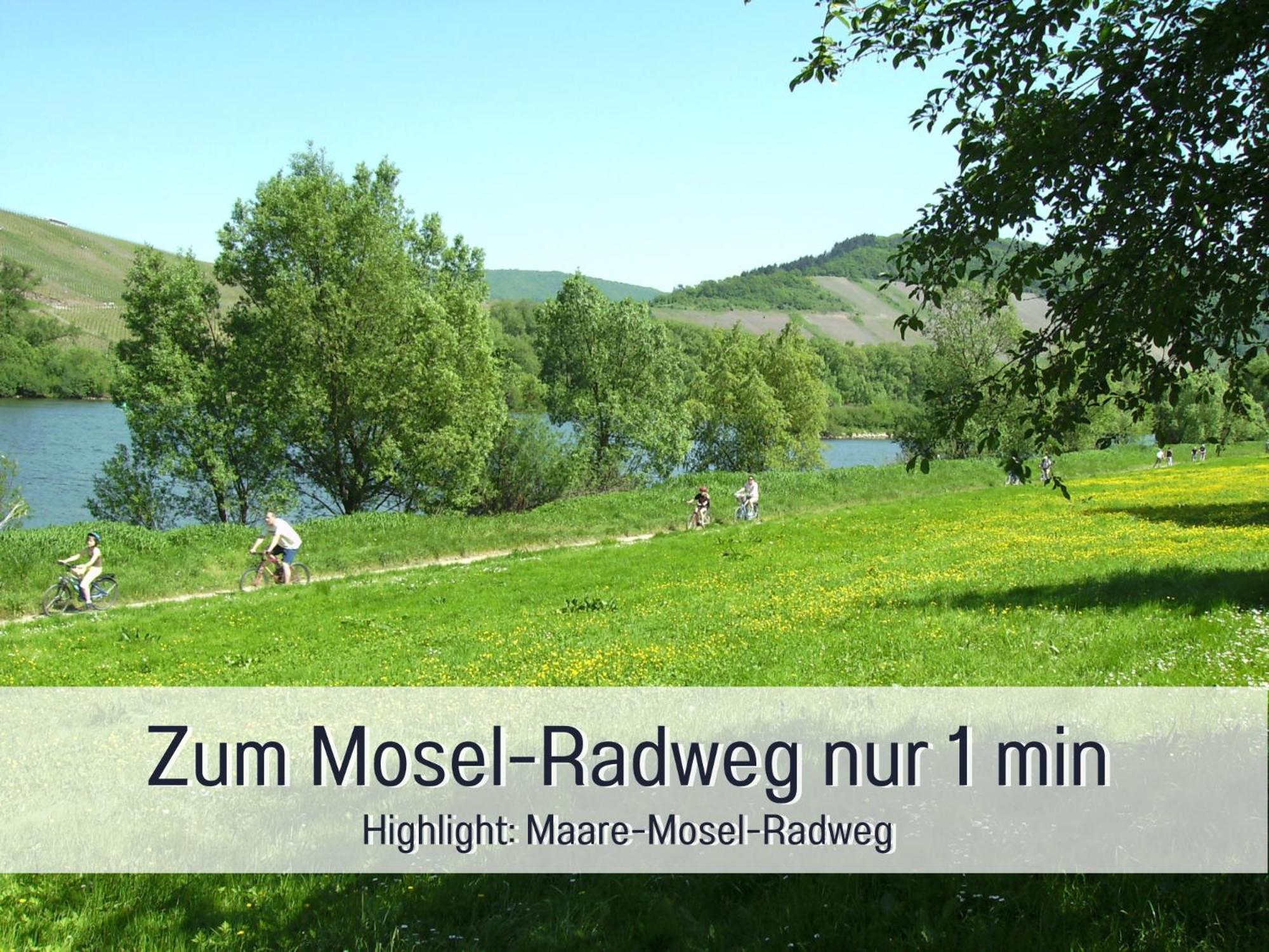 Ferienhaus Schwaab-Scherr, Genau Zwischen Bernkastel-Kues Und Traben-Trarbach, Mit Kostenlosem Oepnv-Ticket Fuer Bus Und Bahn, Parkplaetzen Und Fahrradgarage Erden Eksteriør billede