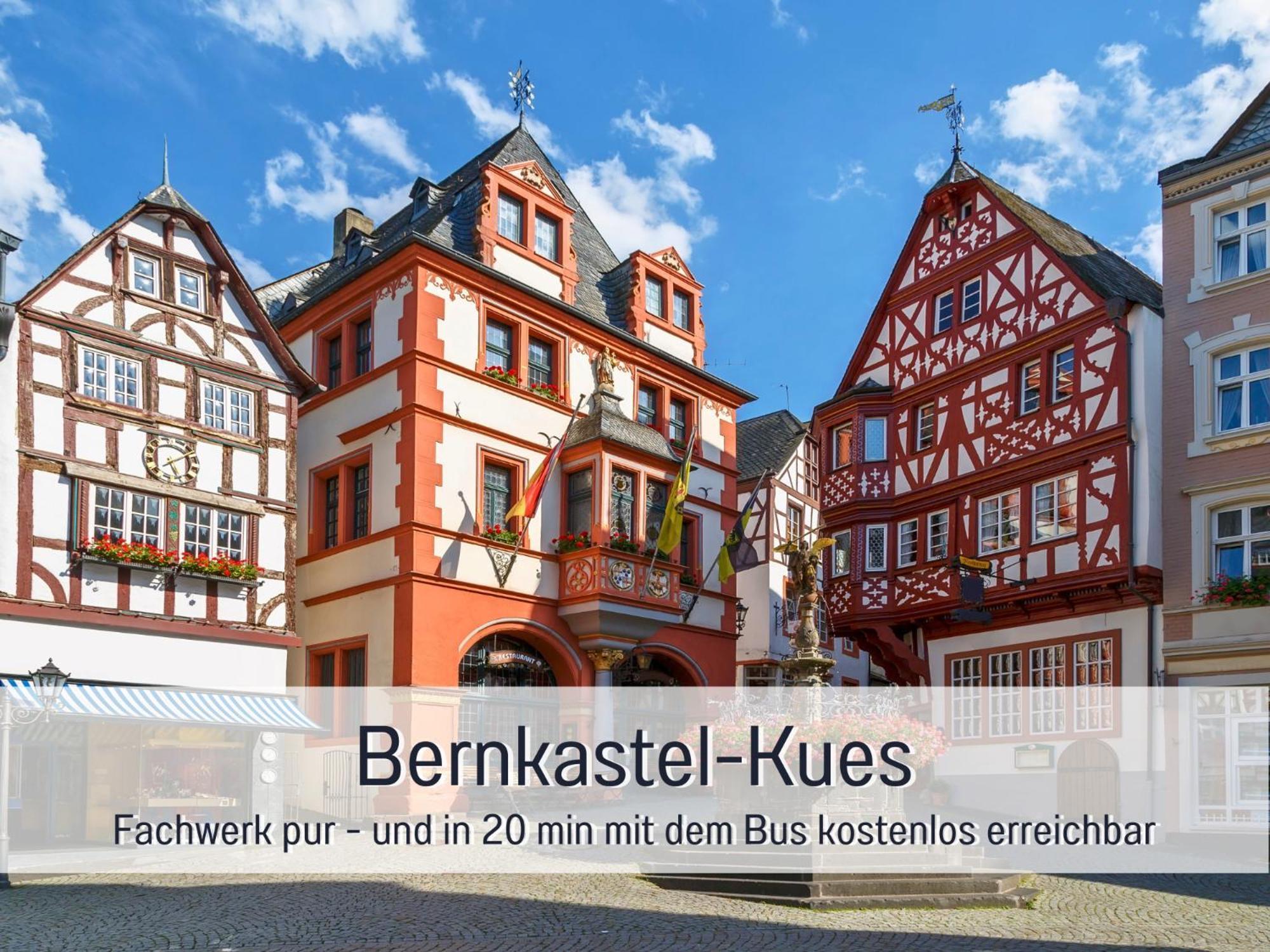Ferienhaus Schwaab-Scherr, Genau Zwischen Bernkastel-Kues Und Traben-Trarbach, Mit Kostenlosem Oepnv-Ticket Fuer Bus Und Bahn, Parkplaetzen Und Fahrradgarage Erden Eksteriør billede