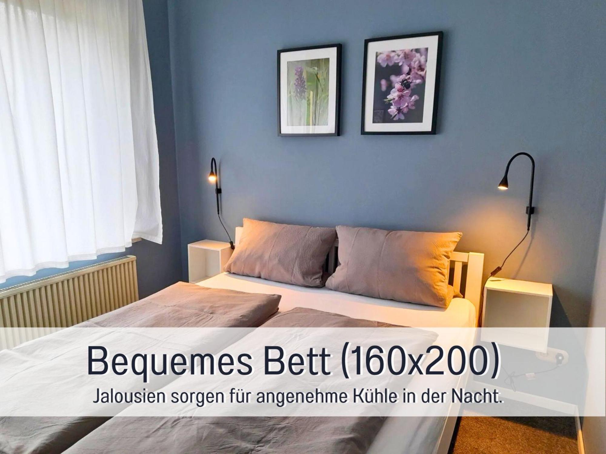 Ferienhaus Schwaab-Scherr, Genau Zwischen Bernkastel-Kues Und Traben-Trarbach, Mit Kostenlosem Oepnv-Ticket Fuer Bus Und Bahn, Parkplaetzen Und Fahrradgarage Erden Eksteriør billede