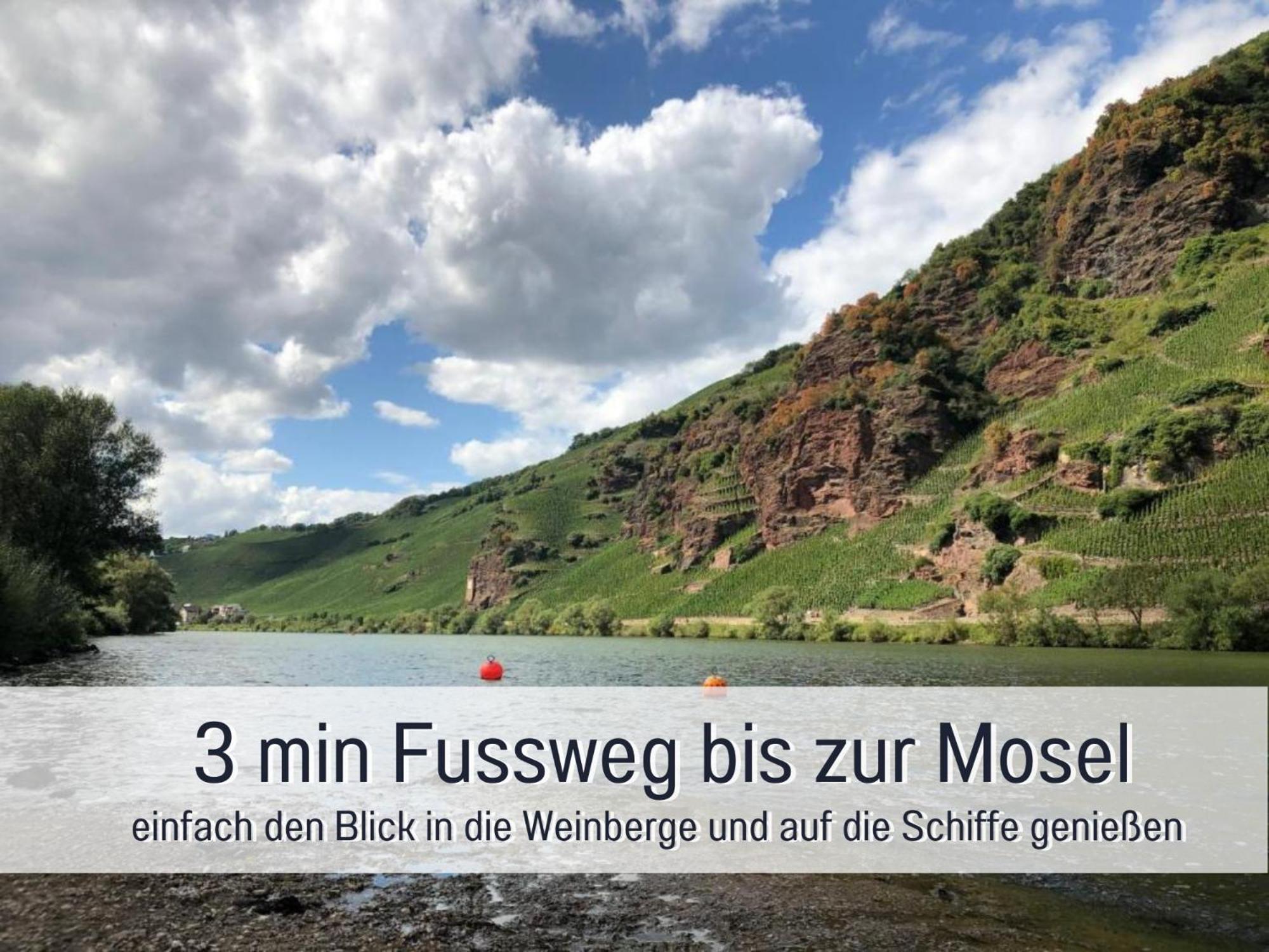 Ferienhaus Schwaab-Scherr, Genau Zwischen Bernkastel-Kues Und Traben-Trarbach, Mit Kostenlosem Oepnv-Ticket Fuer Bus Und Bahn, Parkplaetzen Und Fahrradgarage Erden Eksteriør billede