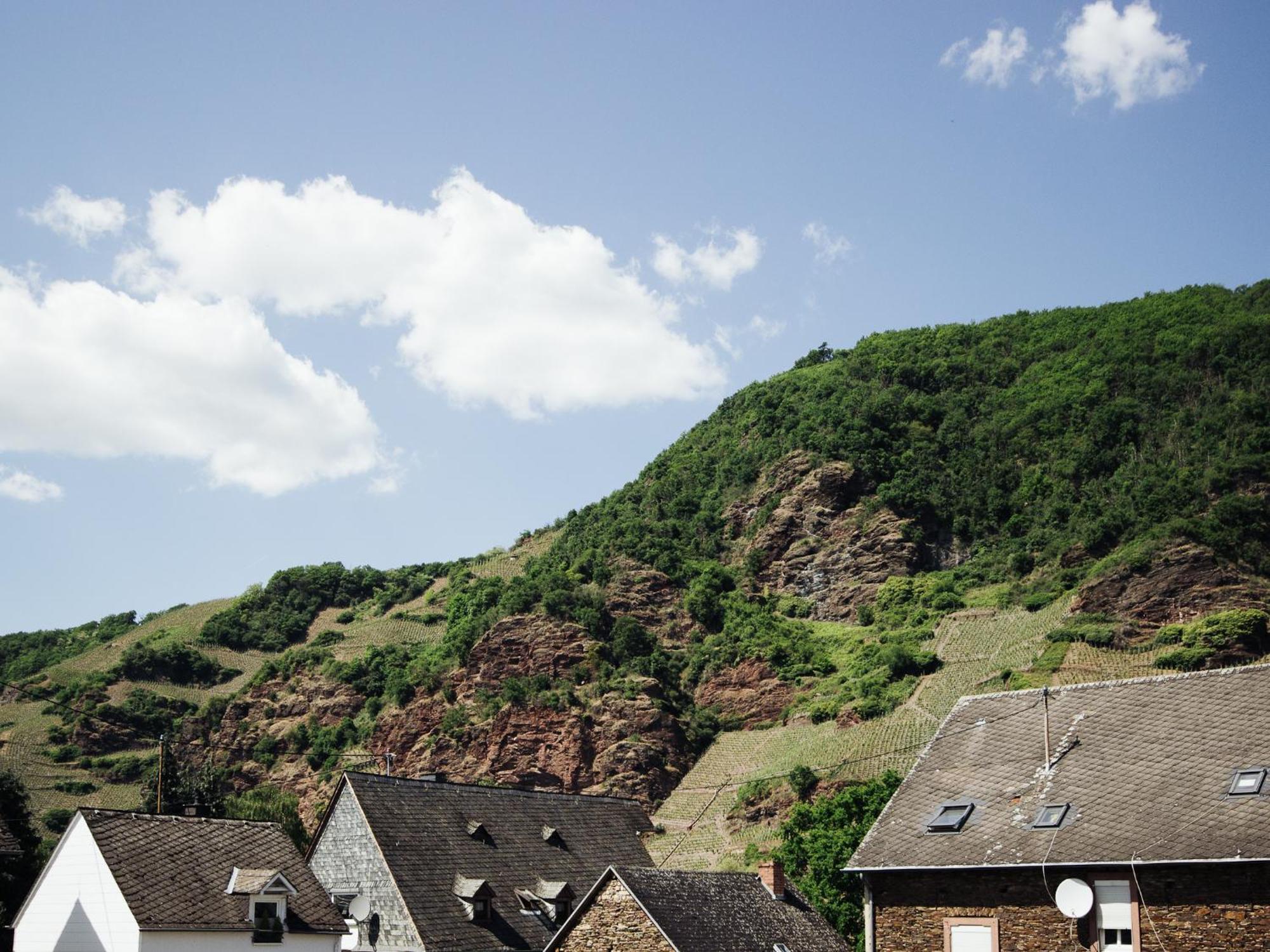 Ferienhaus Schwaab-Scherr, Genau Zwischen Bernkastel-Kues Und Traben-Trarbach, Mit Kostenlosem Oepnv-Ticket Fuer Bus Und Bahn, Parkplaetzen Und Fahrradgarage Erden Eksteriør billede